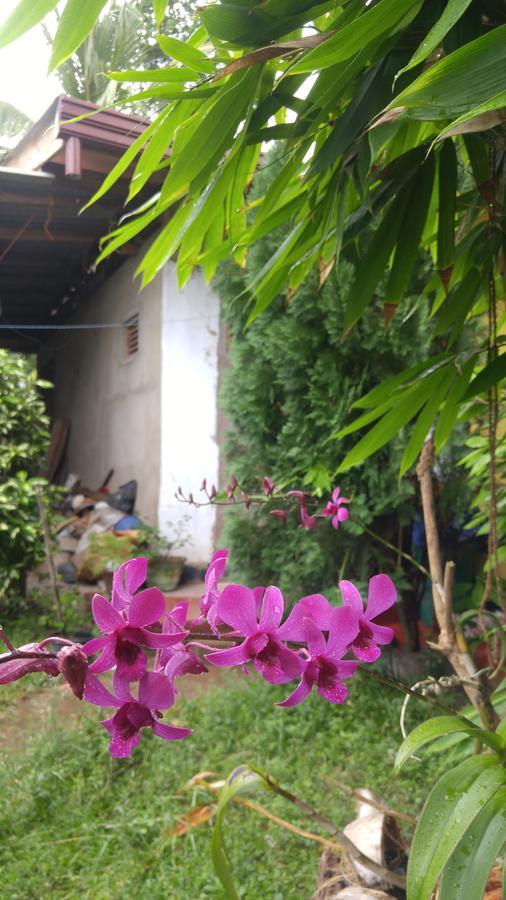 Ananda Home Stay&Restaurant Tangalle Bagian luar foto